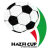 Hazfi Cup