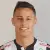 Vinicius Diniz Dall Antonia