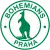 Bohemians 1905